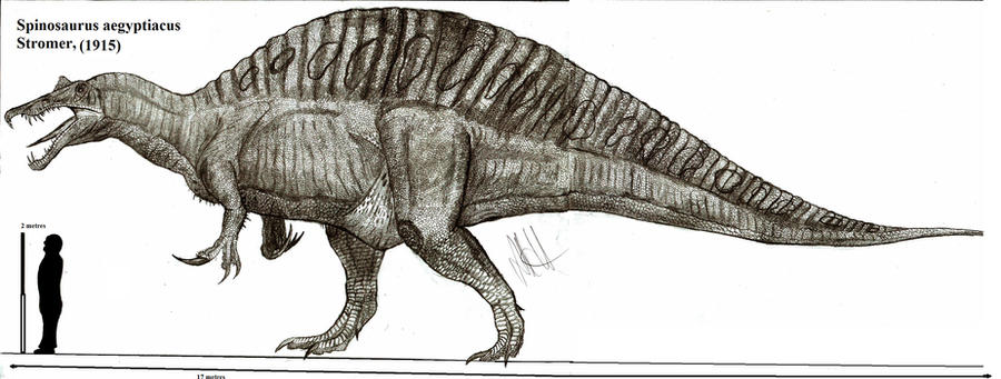 Spinosaurus Aegyptiacus By Teratophoneus On DeviantArt.
