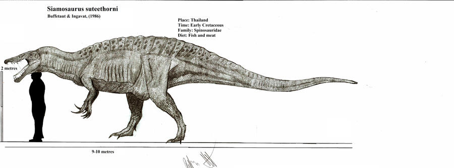 Siamosaurus suteethorni