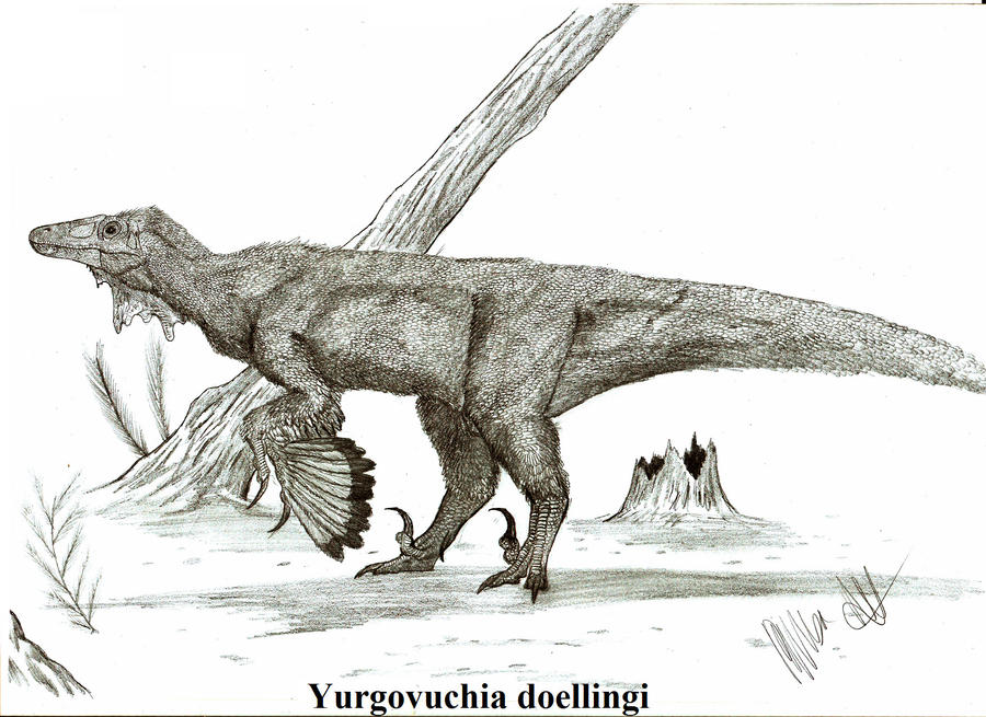 Yurgovuchia doellingi