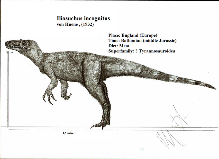 Iliosuchus incognitus