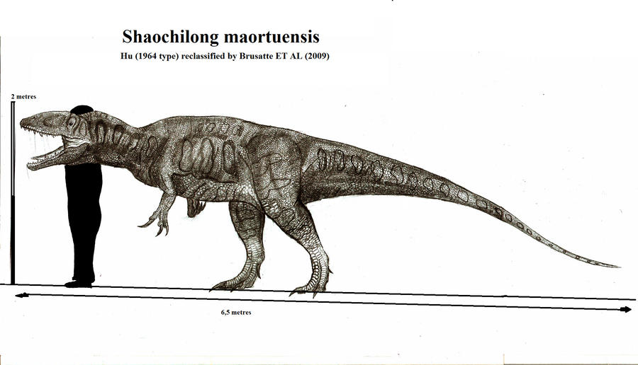 Shaochilong maortuensis by Teratophoneus