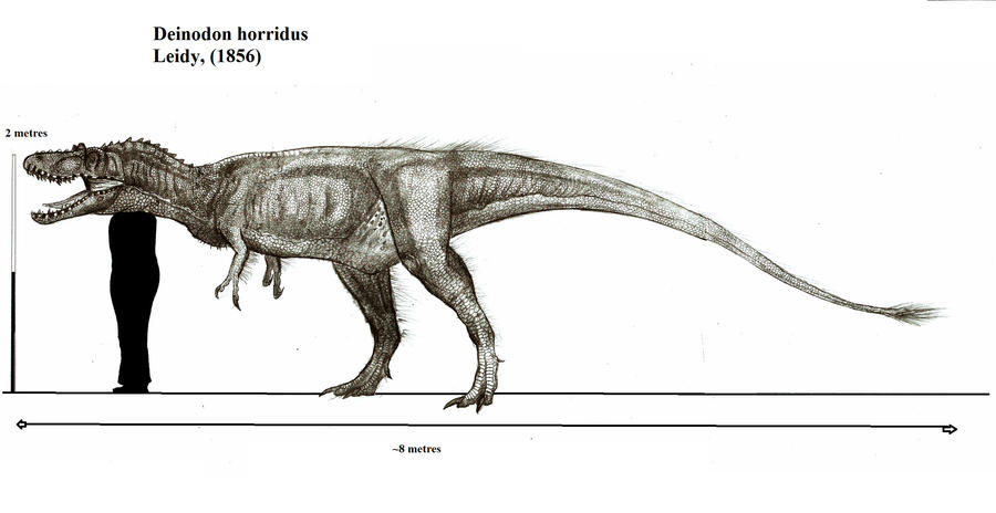 Deinodon horridus by Teratophoneus