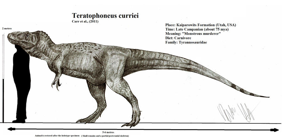 Teratophoneus curriei