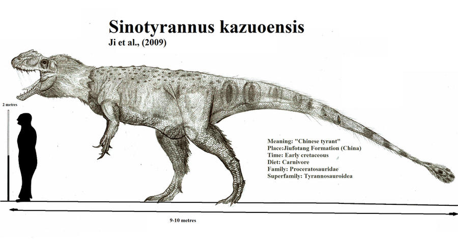 Sinotyrannus kazuoensis