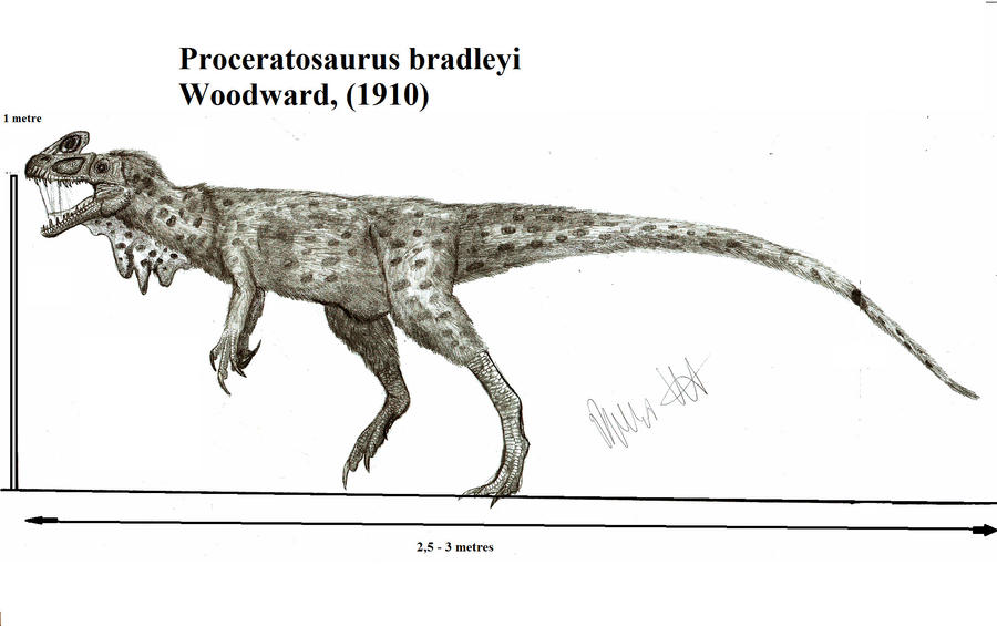 Proceratosaurus bradleyi by Teratophoneus