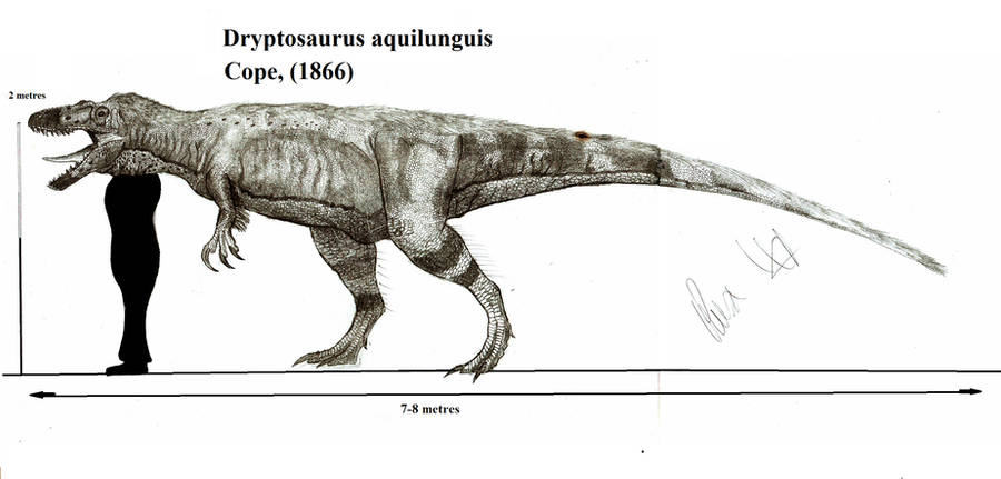 Dryptosaurus aquilunguis by Teratophoneus
