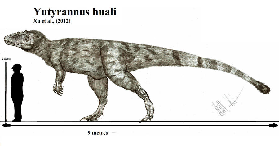 Yutyrannus huali by Teratophoneus