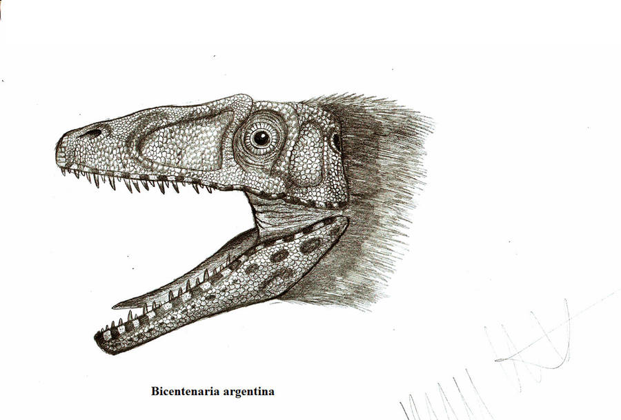 Bicentenaria argentina by Teratophoneus
