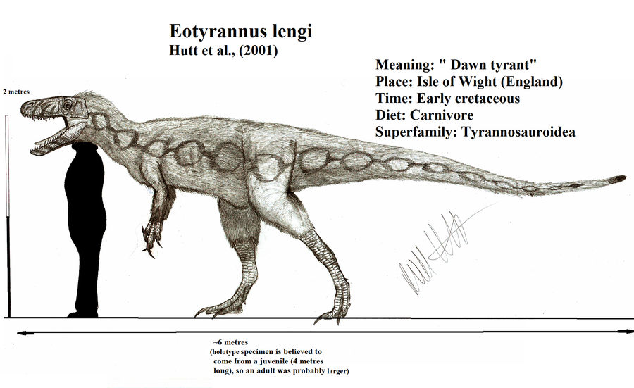 Eotyrannus lengi