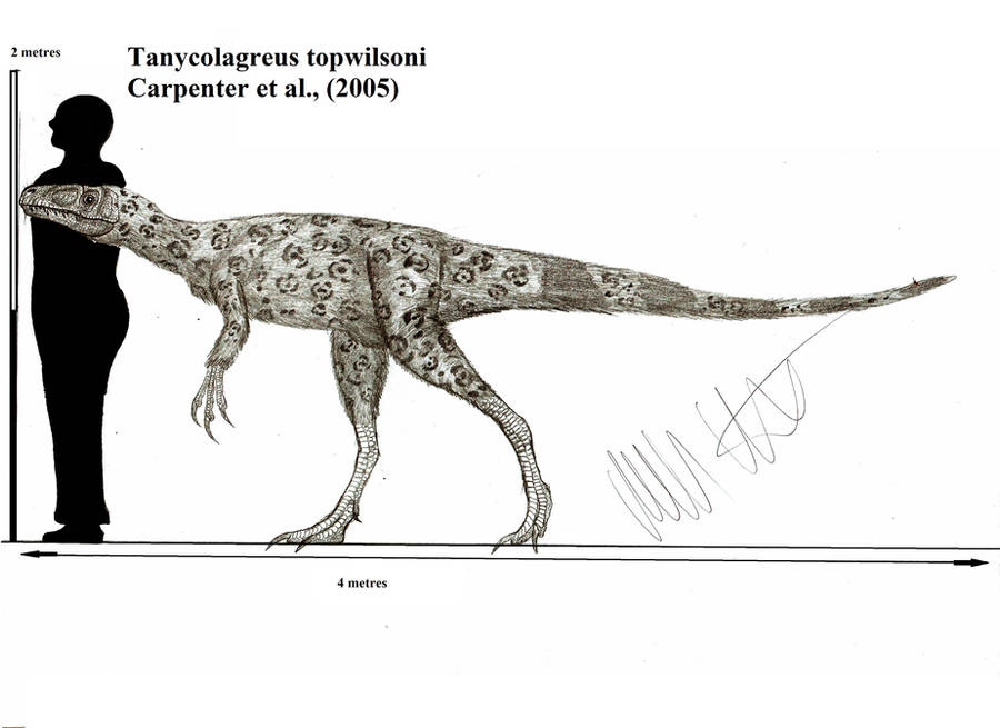 Tanycolagreus topwilsoni by Teratophoneus