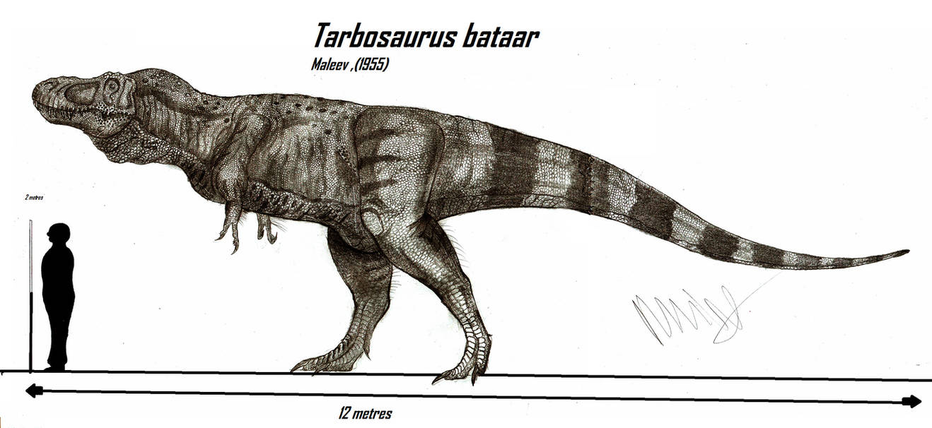 Tarbosaurus bataar by Teratophoneus