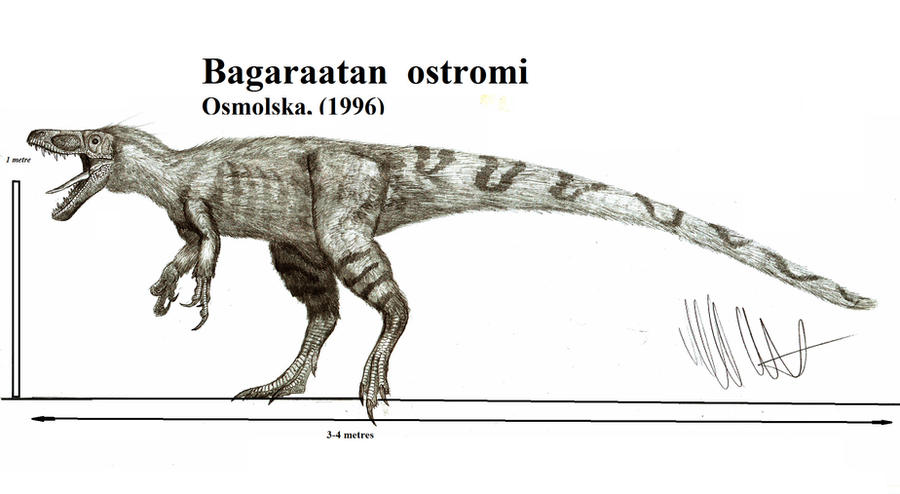 Bagaraatan ostromi