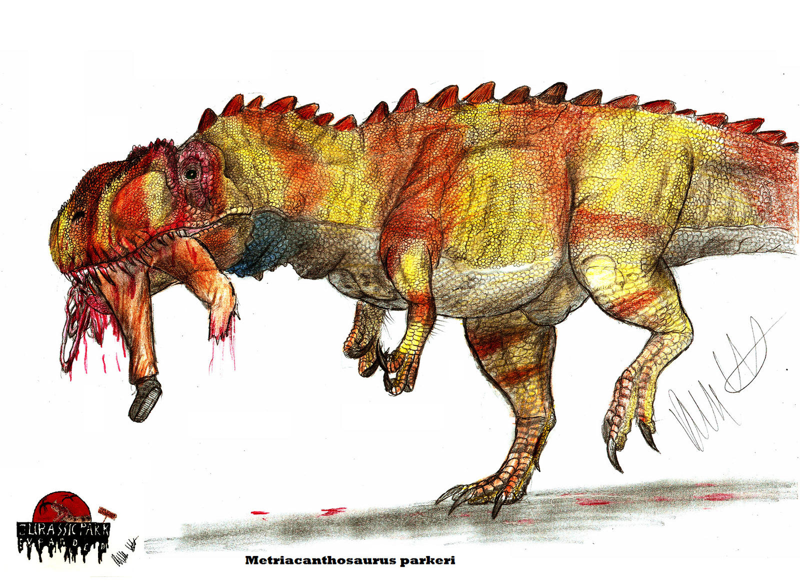Metrisaurus Drawing JP-expanded Metriacanthosaurus by Teratophoneus on DeviantArt