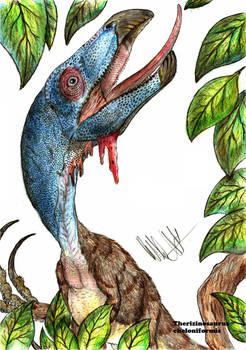 Therizinosaurus cheloniformis