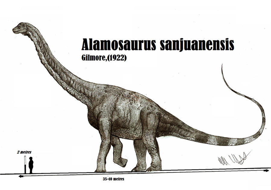 Alamosaurus sanjuanensis