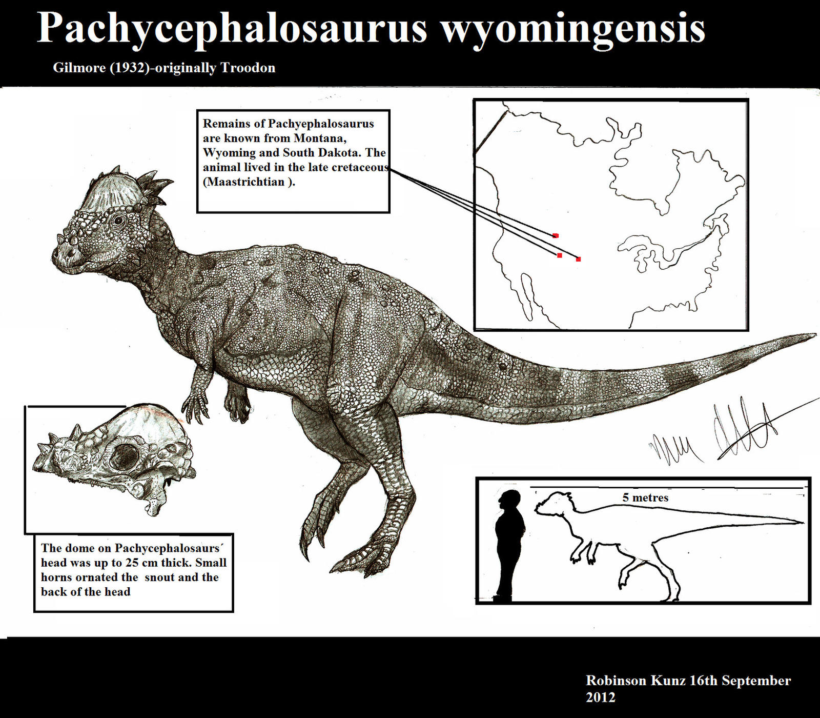 Pachycephalosaurus wyomingensis