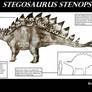 Stegosaurus stenops