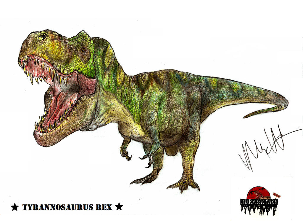 JP-Expanded Tyrannosaurus rex 