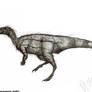 Atlascopcosaurus loadsi