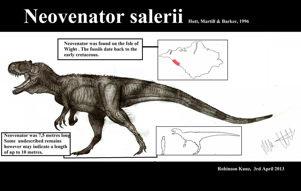 Neovenator salerii
