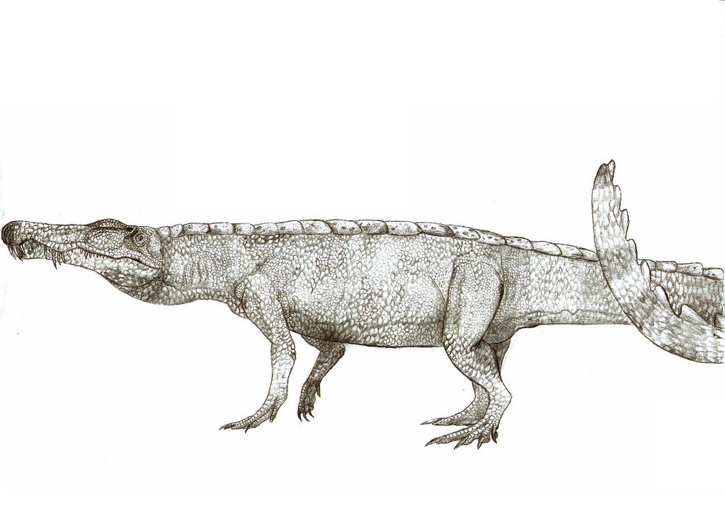 Gorgosuchus
