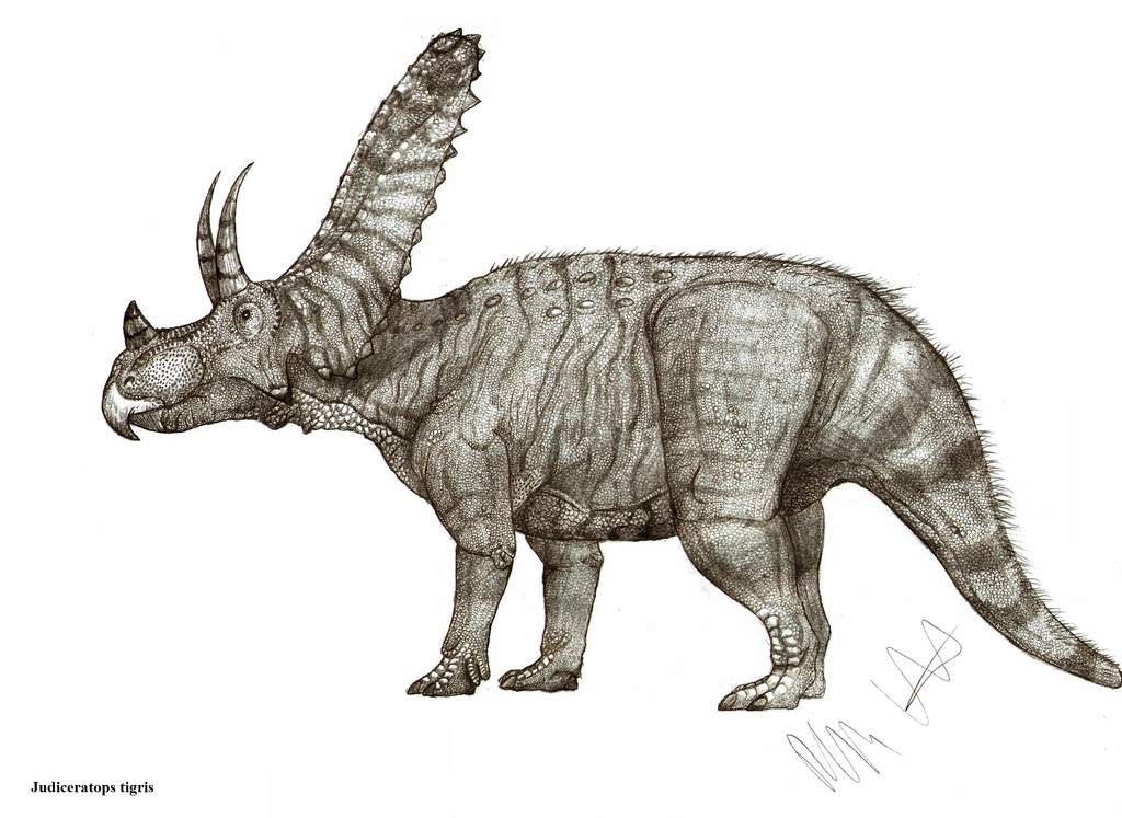 Judiceratops tigris by Teratophoneus