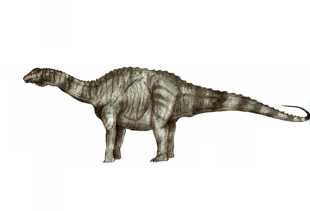 Brasilotitan nemophagus by Teratophoneus