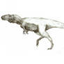 Tyrannosaur