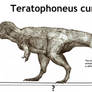 Teratophoneus curriei