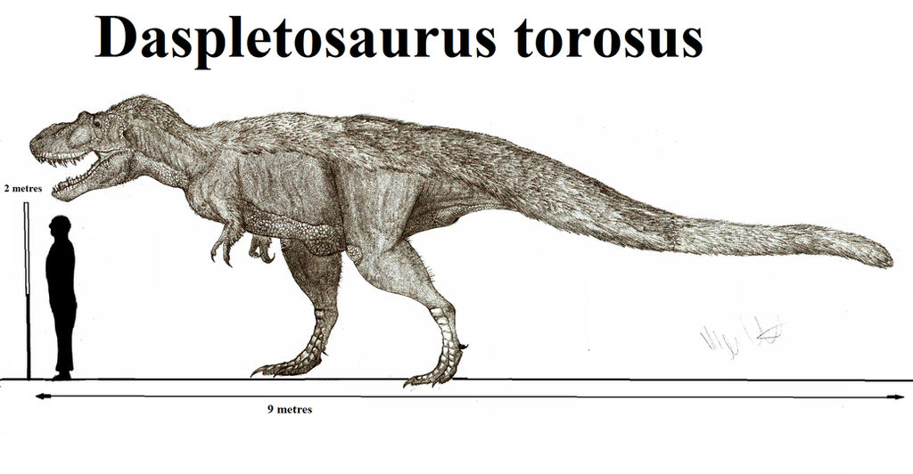 Daspletosaurus torosus by Teratophoneus