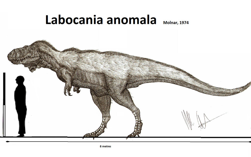 Labocaniia Labocania Anomala by Teratophoneus on DeviantArt