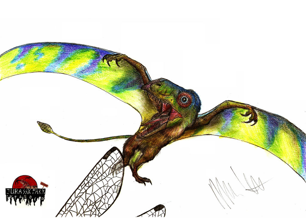 JP-Expanded Peteinosaurus by Teratophoneus