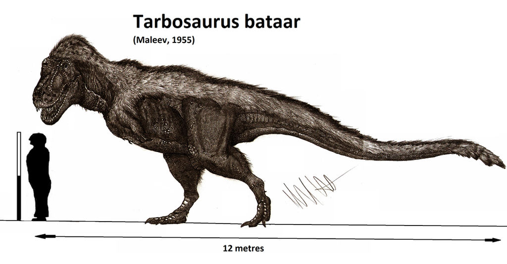 Tarbosaurus bataar by Teratophoneus