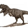Majungasaurus Crenatissimus