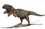 Majungasaurus Crenatissimus