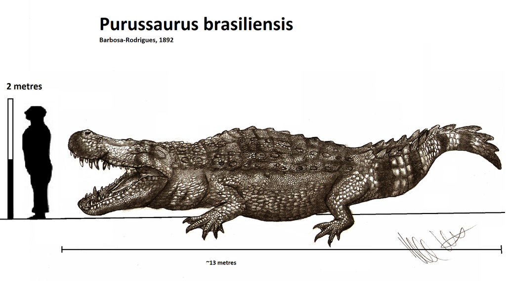 Giant Crocs 01 Purussaurus Brasiliensis By Teratophoneus On DeviantArt giant-crocs-01-purussaurus-brasiliensis-by-teratophoneus-on-deviantart