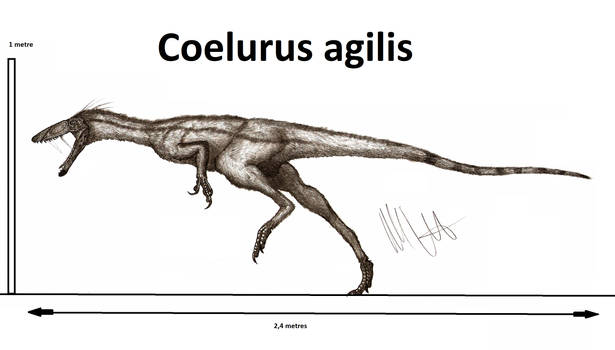 Coelurus Deviantart Explore the Best Coelurus Art | DeviantArt
