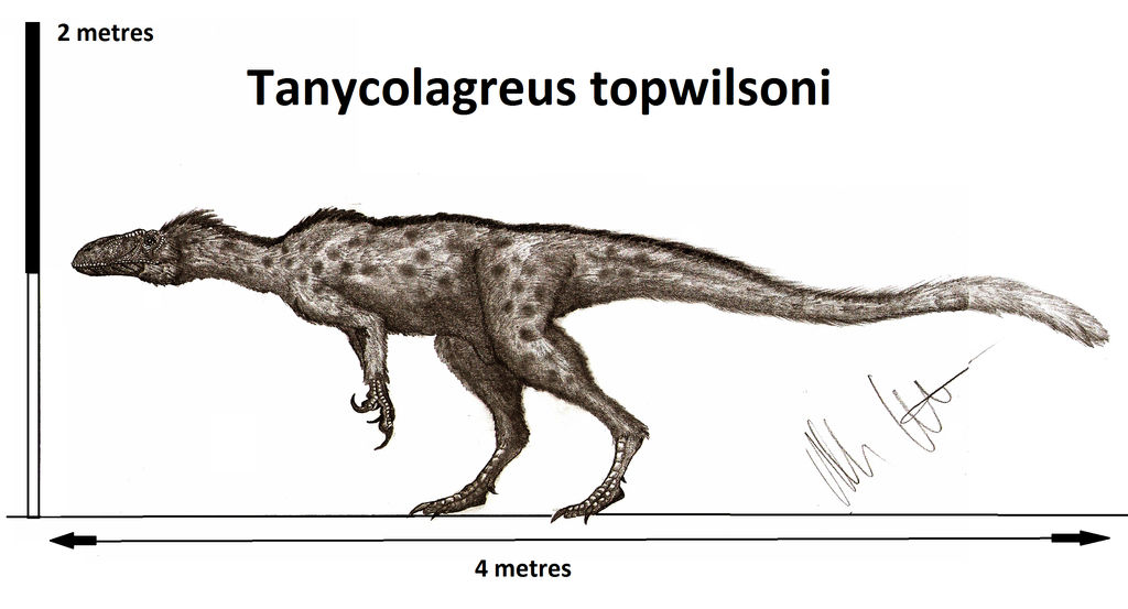 Tanycolagreus topwilsoni by Teratophoneus