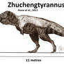 Zhuchengtyrannus magnus (updated)