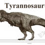 Tyrannosaurus rex