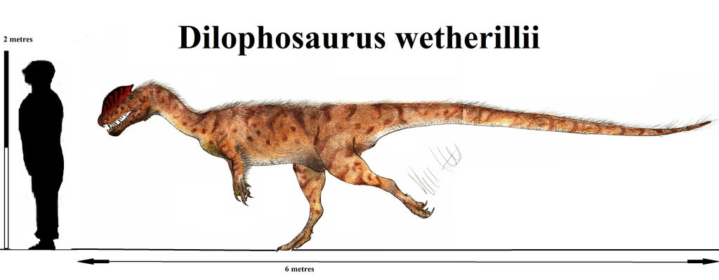Dilophosaurus wetherilli