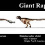 Giant Raptors