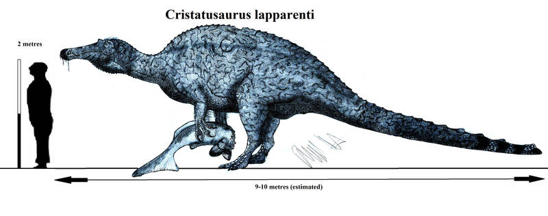 Cristatusaurus Lapparenti