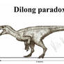 Dilong paradoxus