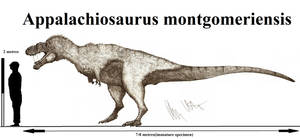 Appalachiosaurus montgomeriensis