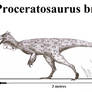 Proceratosaurus bradleyi