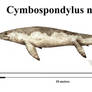 Cymbospondylus natans