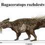 Bagaceratops rozhdestvenskyi