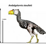 Andalgalornis steulleti