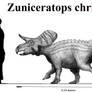 Zuniceratops christopheri